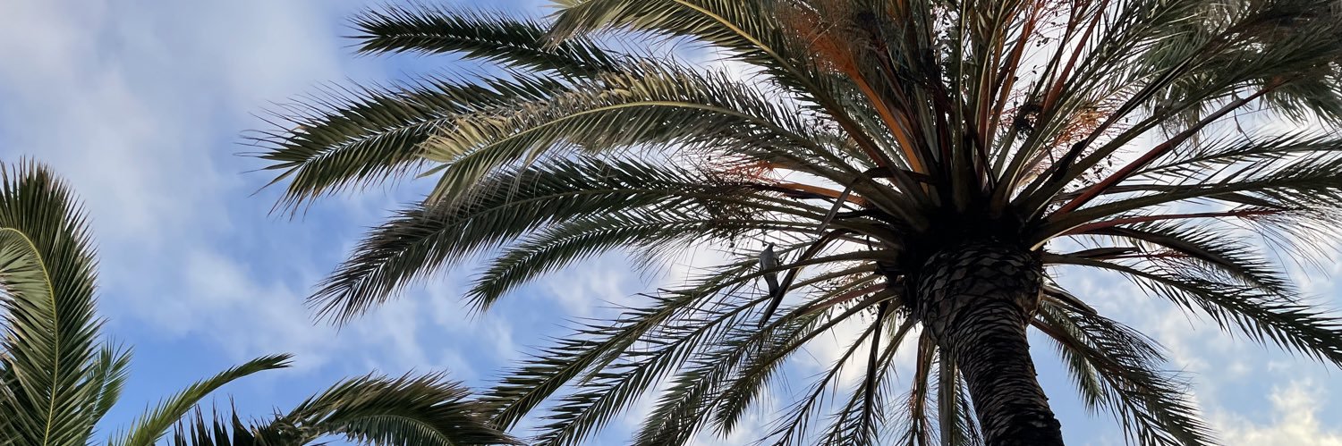 YoannRaucoules's profile banner image