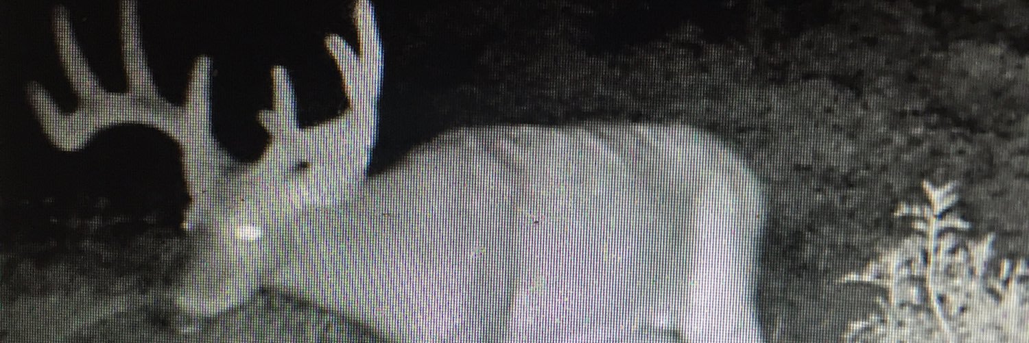 t_scheid's profile banner image