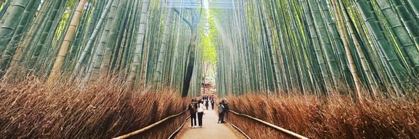 appleplacer Profile Banner