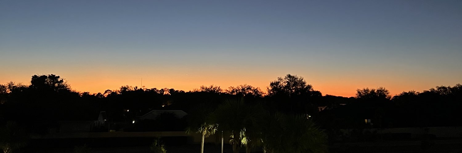 lanielaxoxox's profile banner image