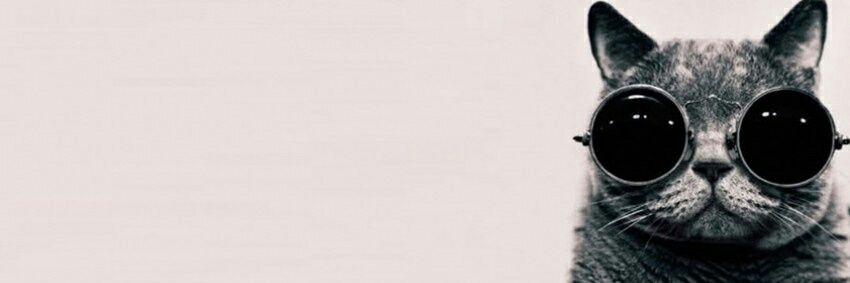 fc_bemaneirinho's profile banner image