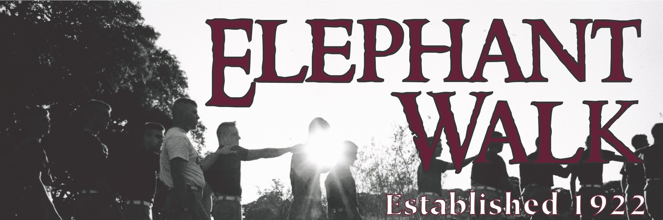 ElephantWalk16's profile banner image