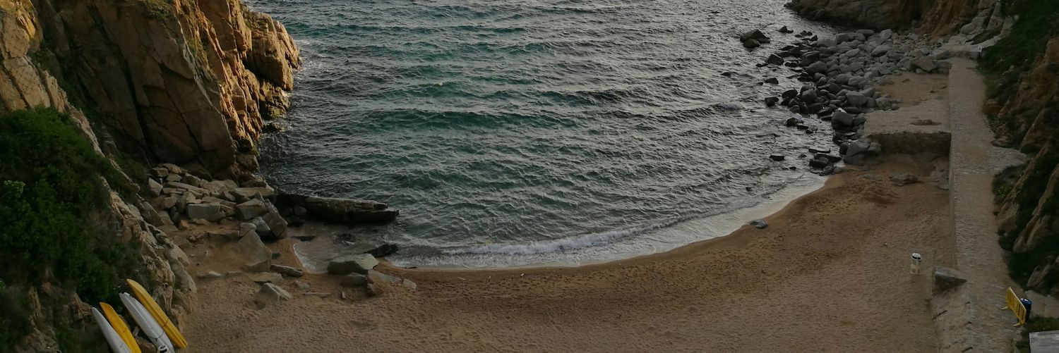 alfdrn17's profile banner image