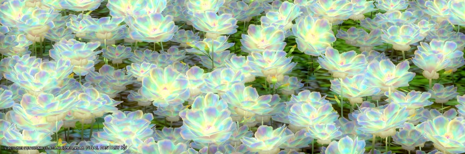 13_Kazusa's profile banner image