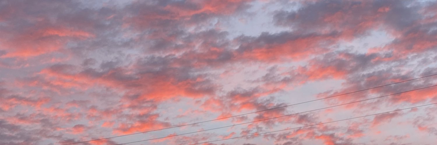 laulitronc stan account banner