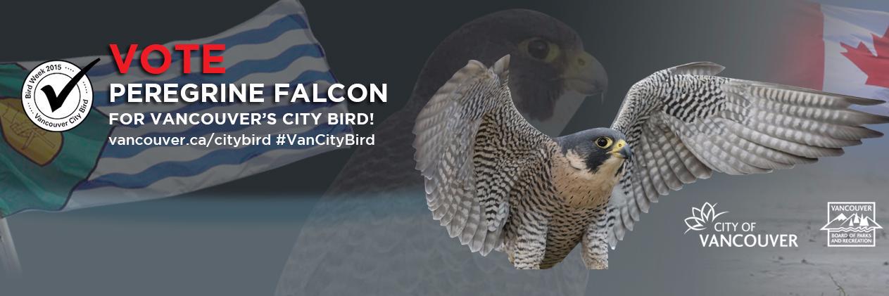 vanperegrine's profile banner image
