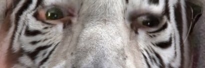 4Sal's profile banner image