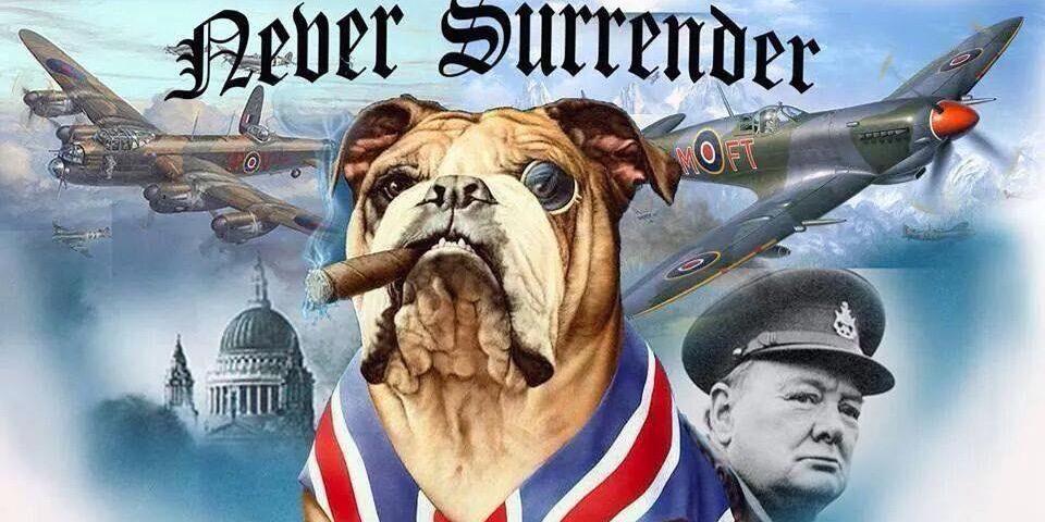 LeeThomason's profile banner image