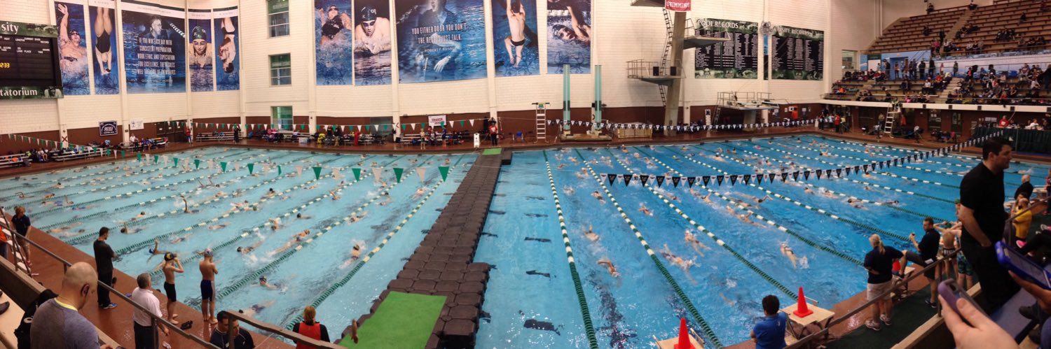 solonswimdive's profile banner image