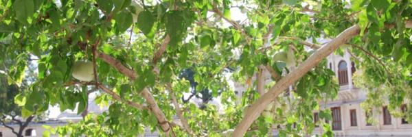 archie119 Profile Banner