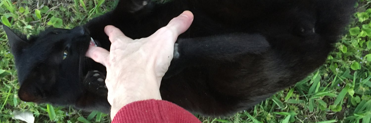 DerekDidear's profile banner image