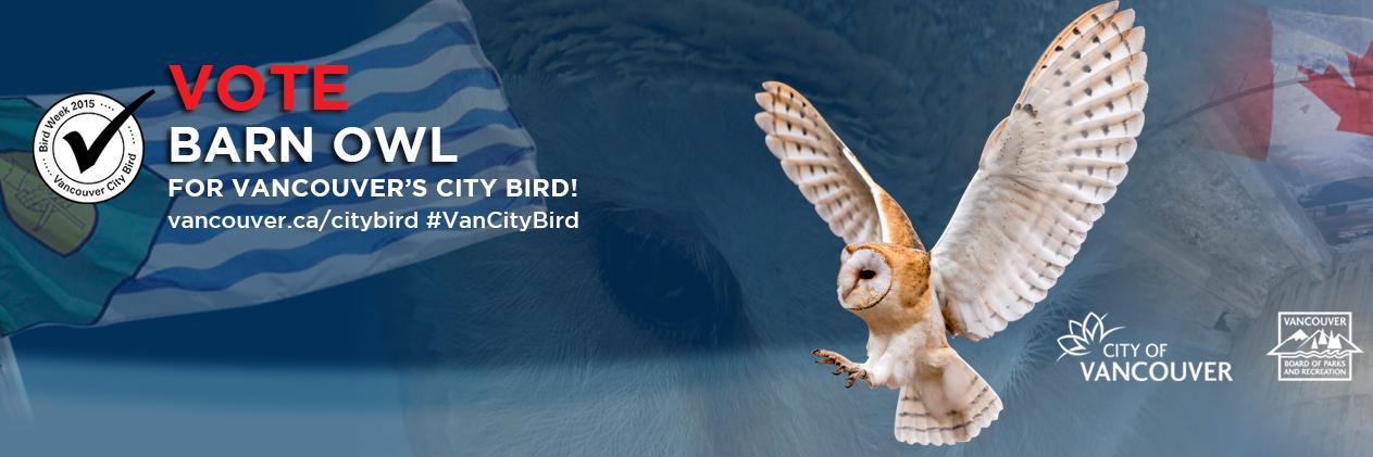 heyitsbarnowl's profile banner image