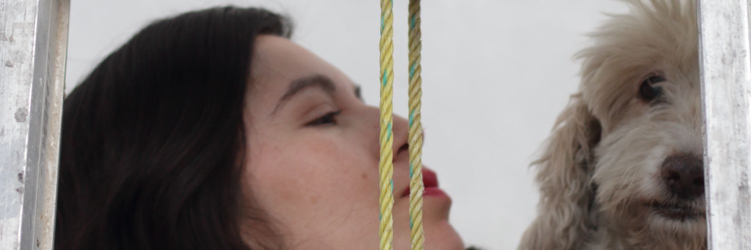 RivasDaniela17's profile banner image