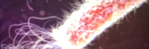 robinallan1 Profile Banner