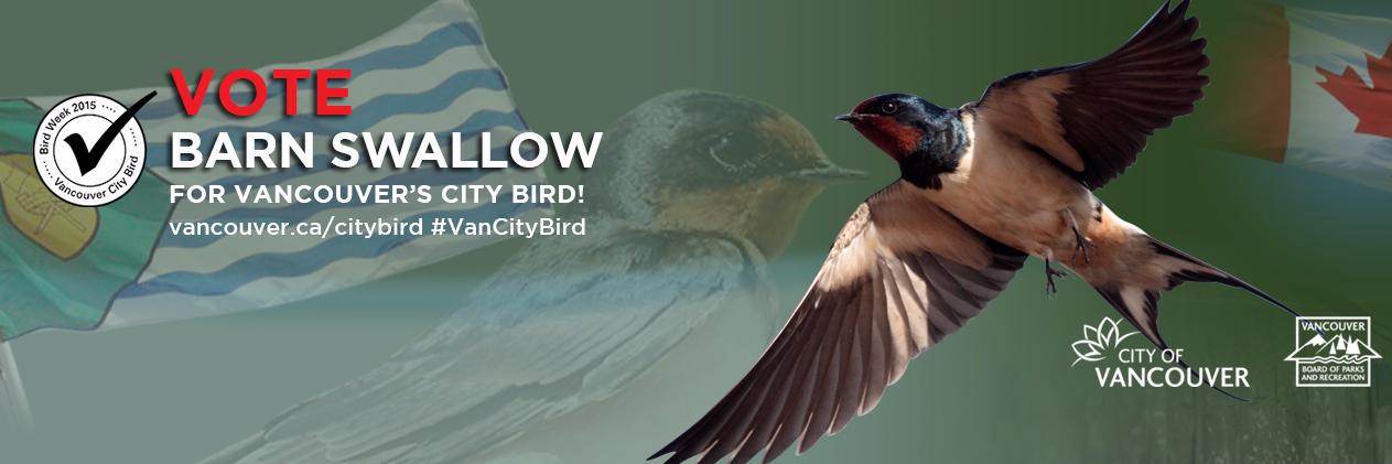 thebarnswallow's profile banner image