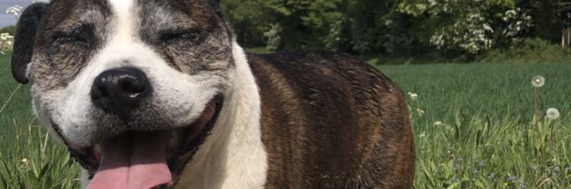 MaseJosh's profile banner image