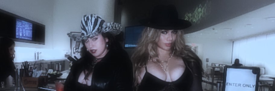 flulauren's profile banner image