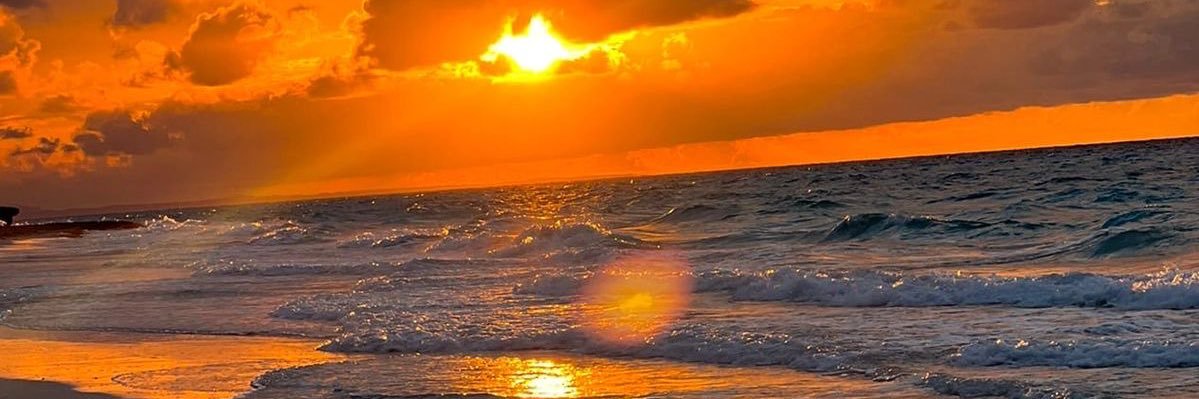 Robertacl__'s profile banner image