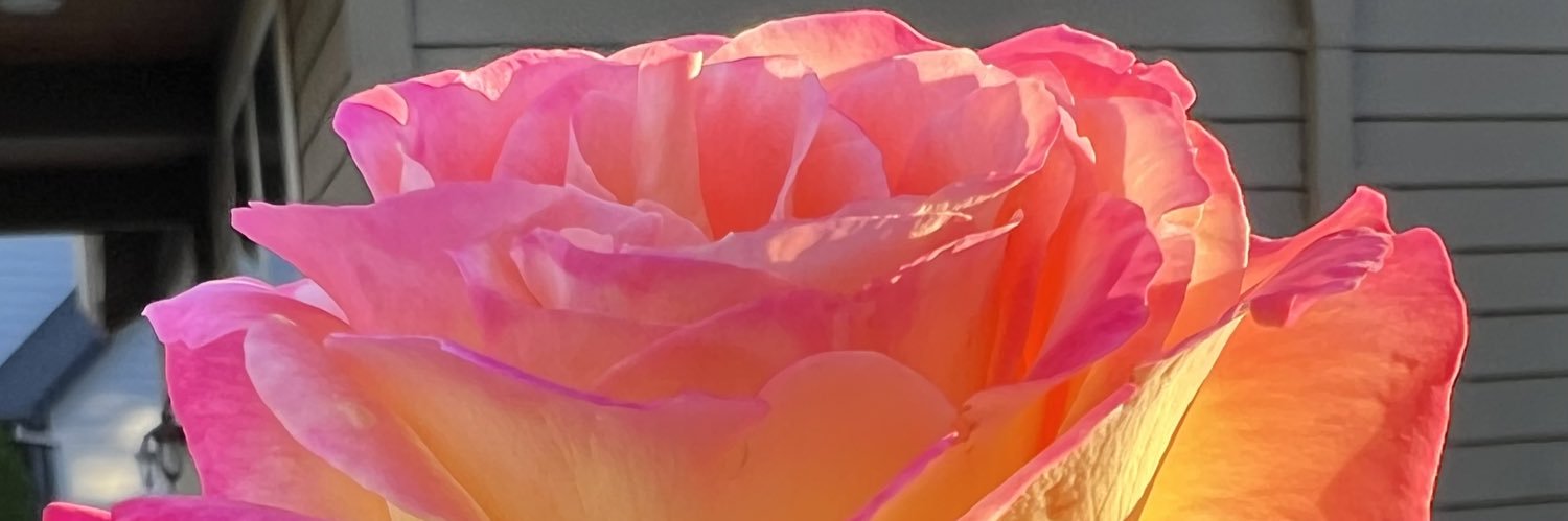 LouisaM70's profile banner image