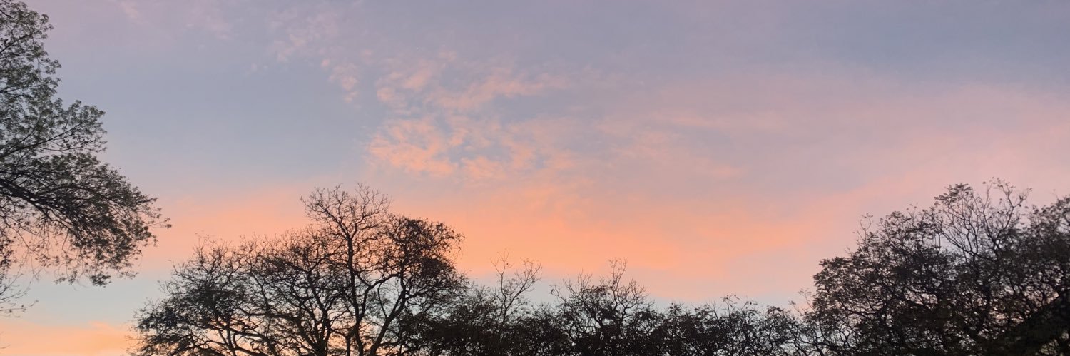 Noemi_ggh's profile banner image