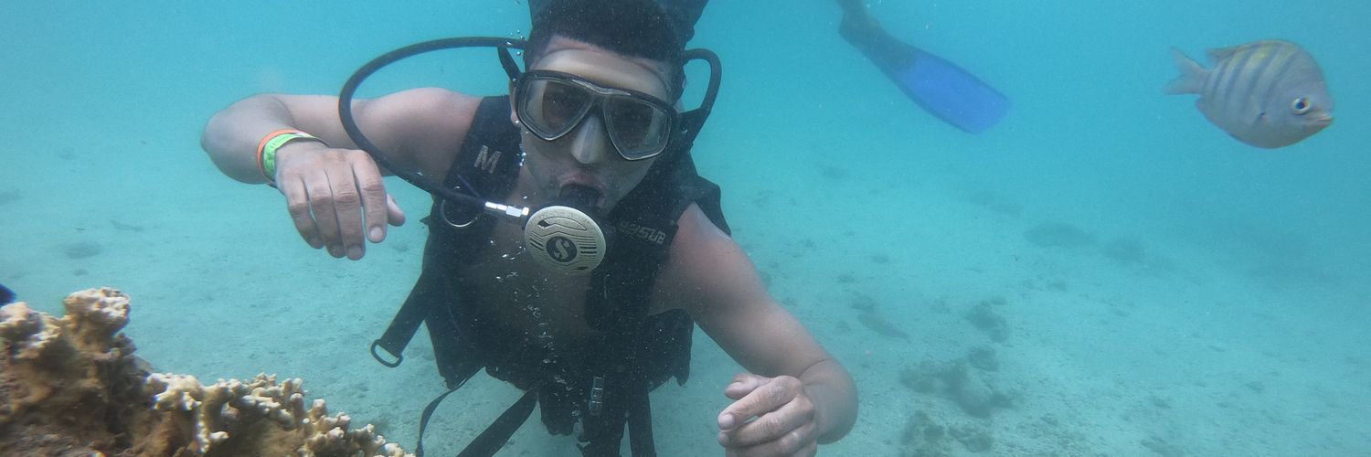 johnny bernardo banner