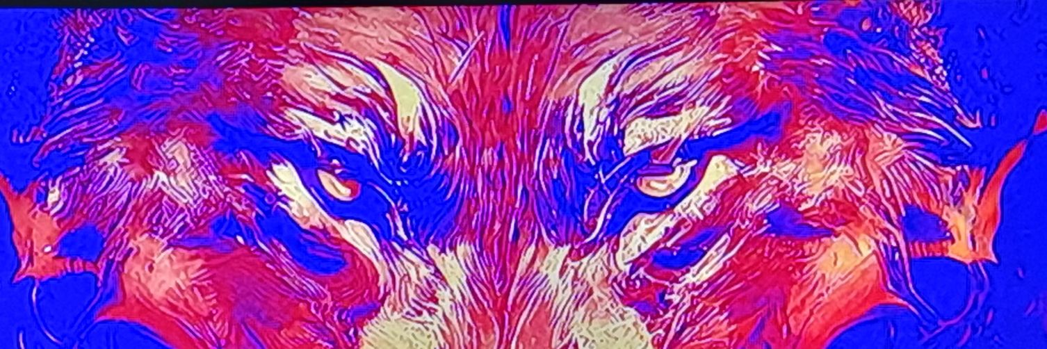 ObserveWithMind's profile banner image