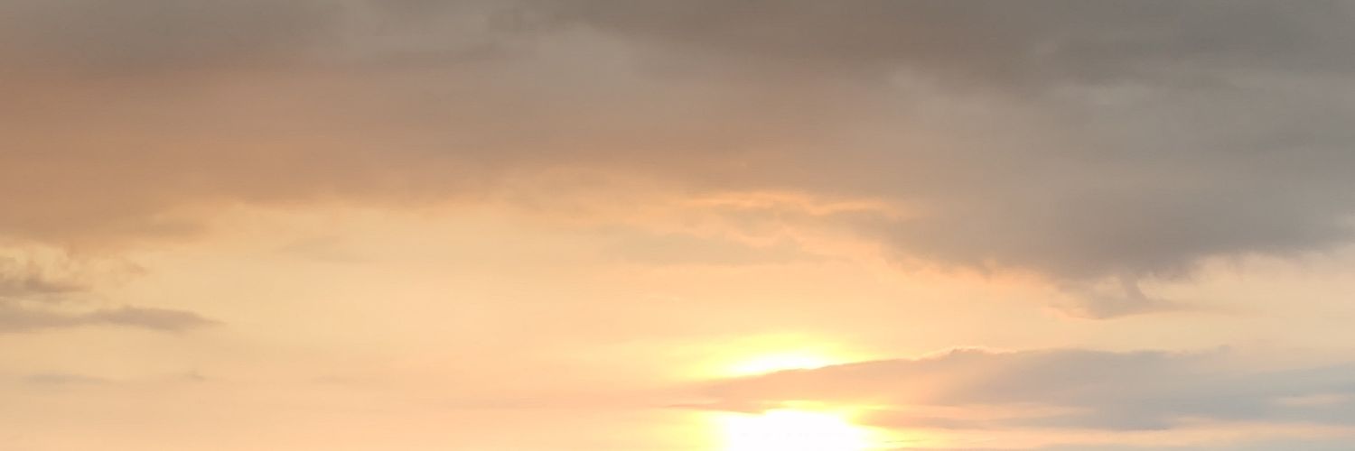 Alee_sb1's profile banner image