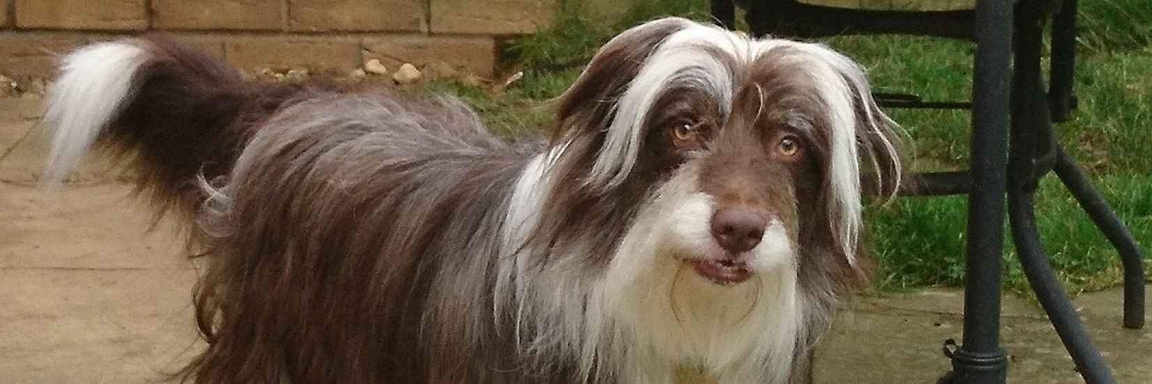 coco20172015's profile banner image