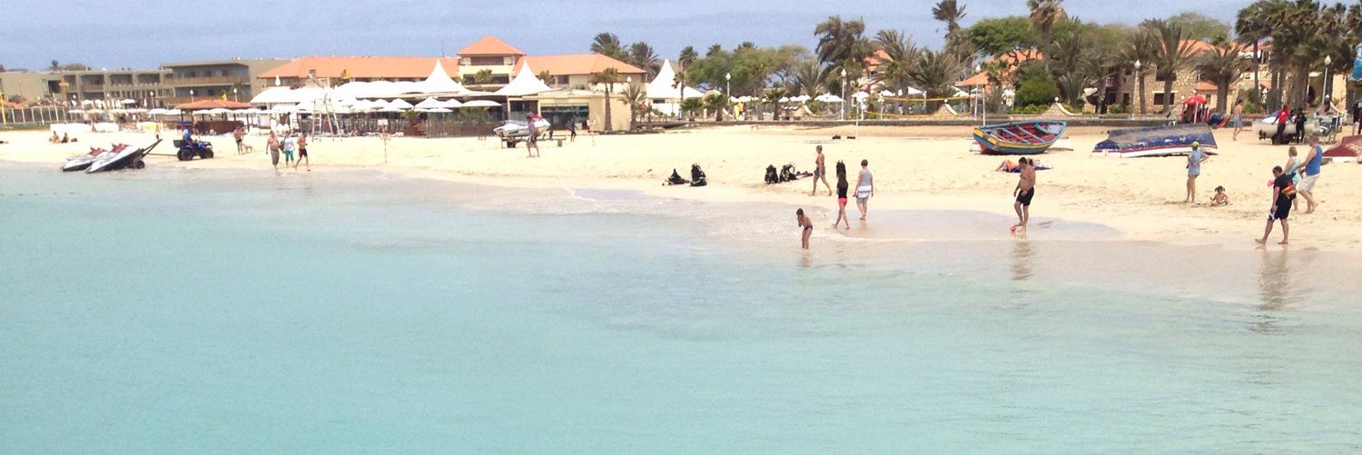 Lauren Garner banner