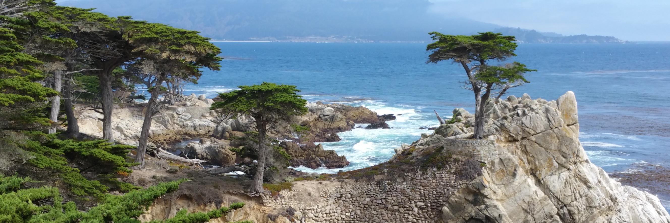 Jordan Meyerowitz banner