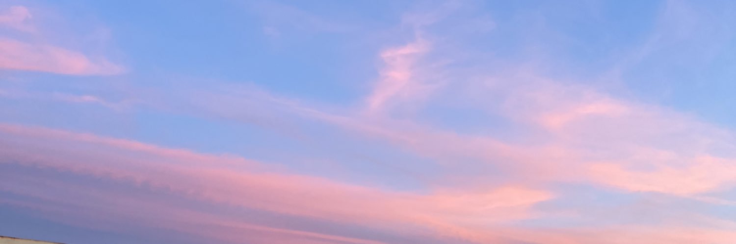 brendapereaa's profile banner image