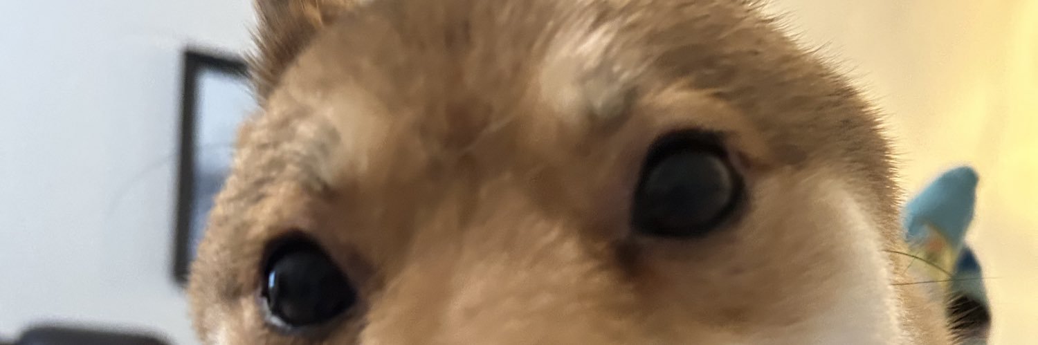 toastie hater page's banner