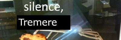 Lichwin - Certified TGZ Goblin banner