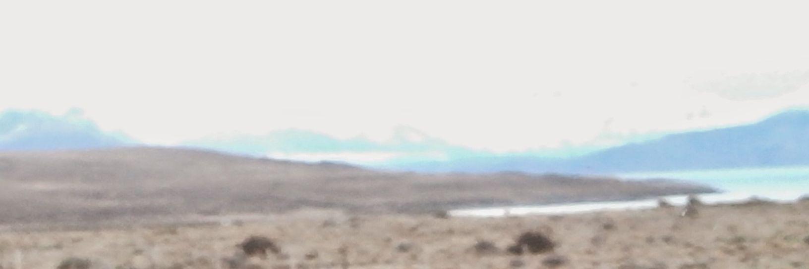 Cintyhonig's profile banner image