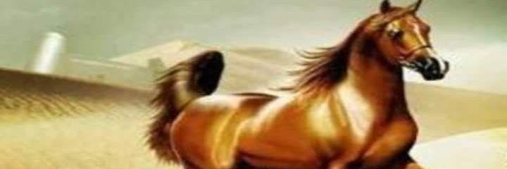 fessll4545's profile banner image