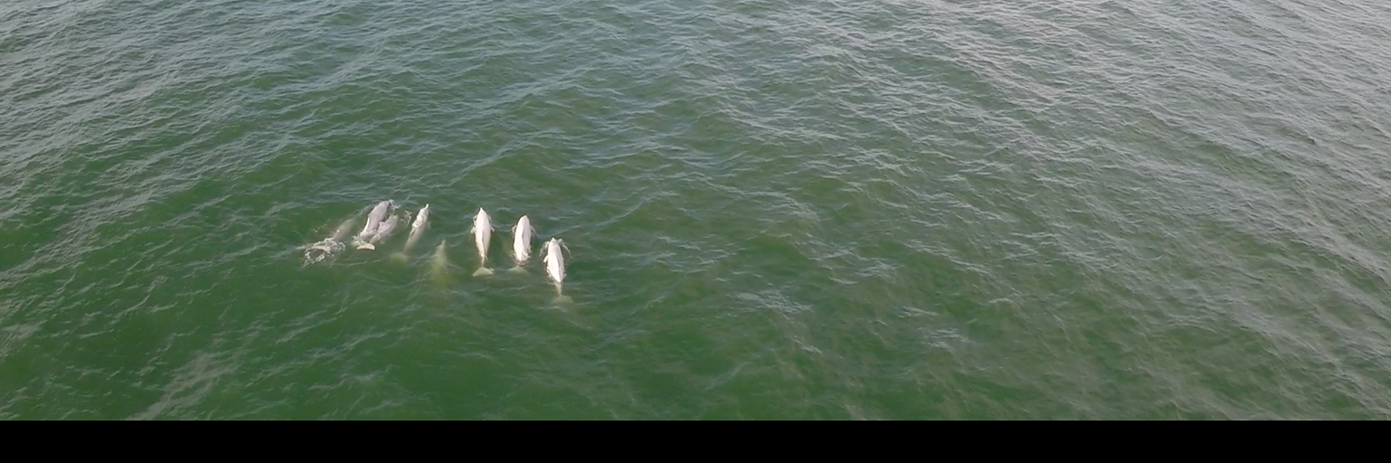 Ocean Recovery banner