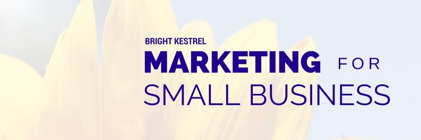 BrightKestrel's profile banner image