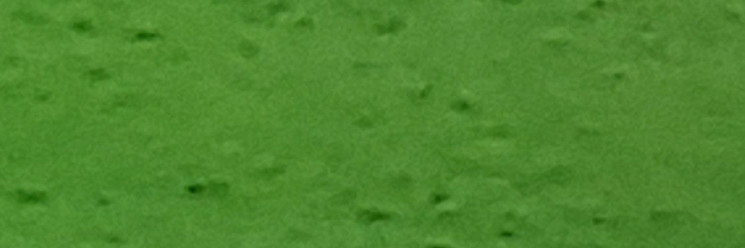 L. A. P. banner