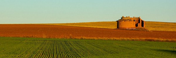_curcue_ Profile Banner