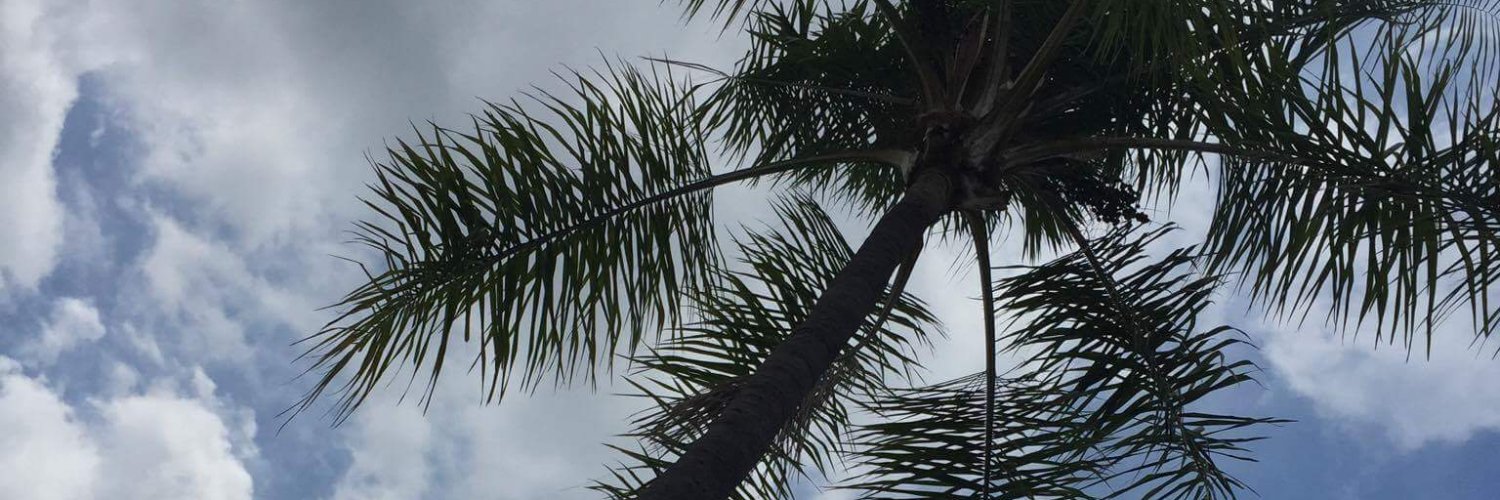 auragn44's profile banner image