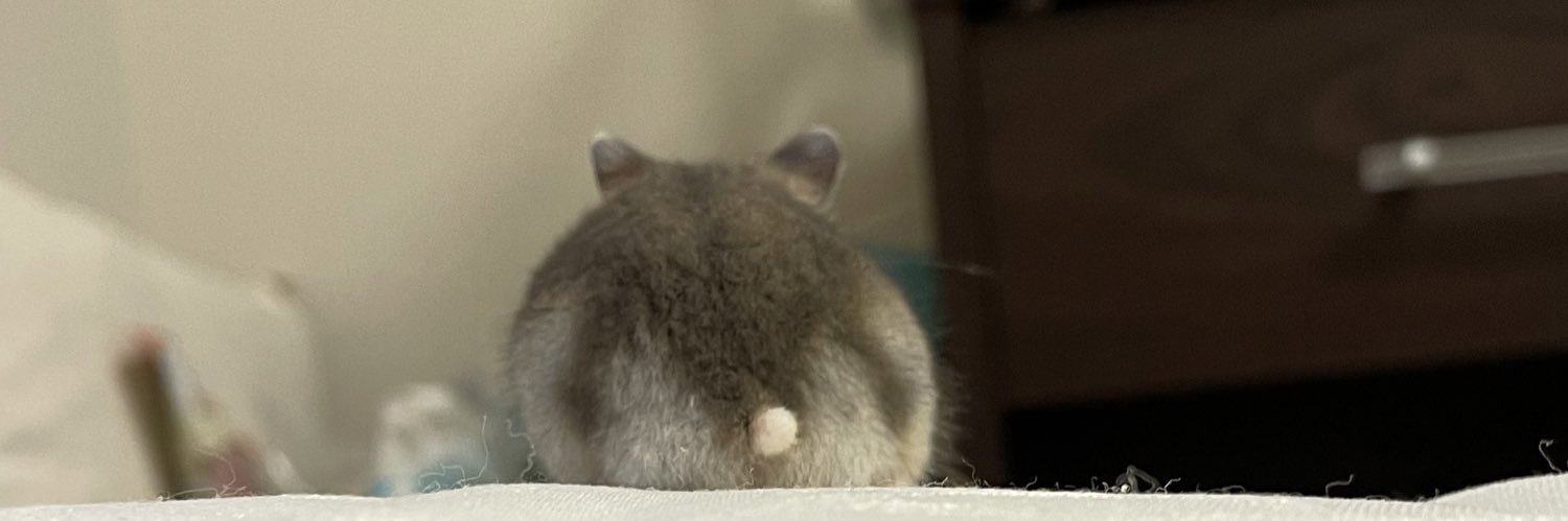 sleepysleepynow's profile banner image