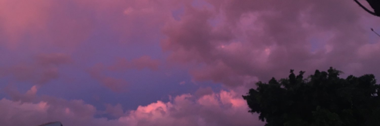 VioleMiralles's profile banner image
