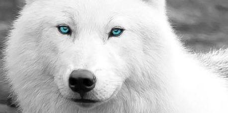 AssisReynaldo's profile banner image