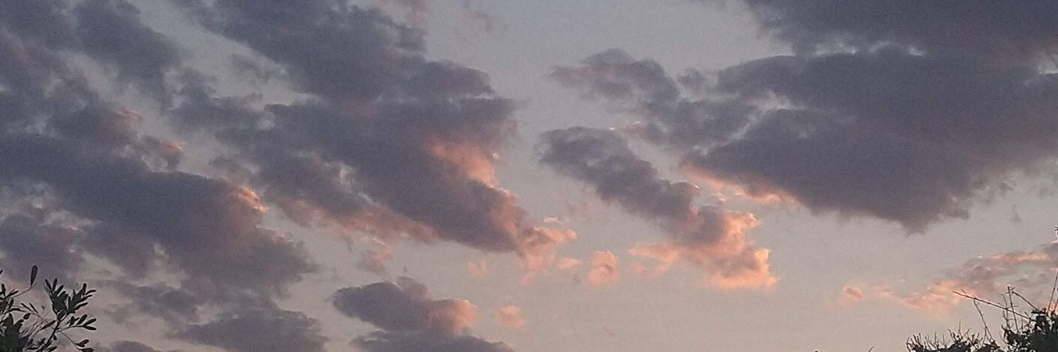 betsa_bee's profile banner image