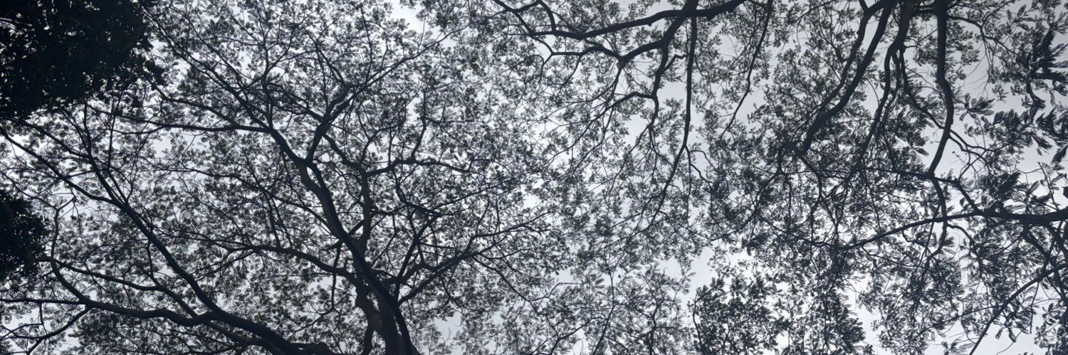 FrancisHH30's profile banner image