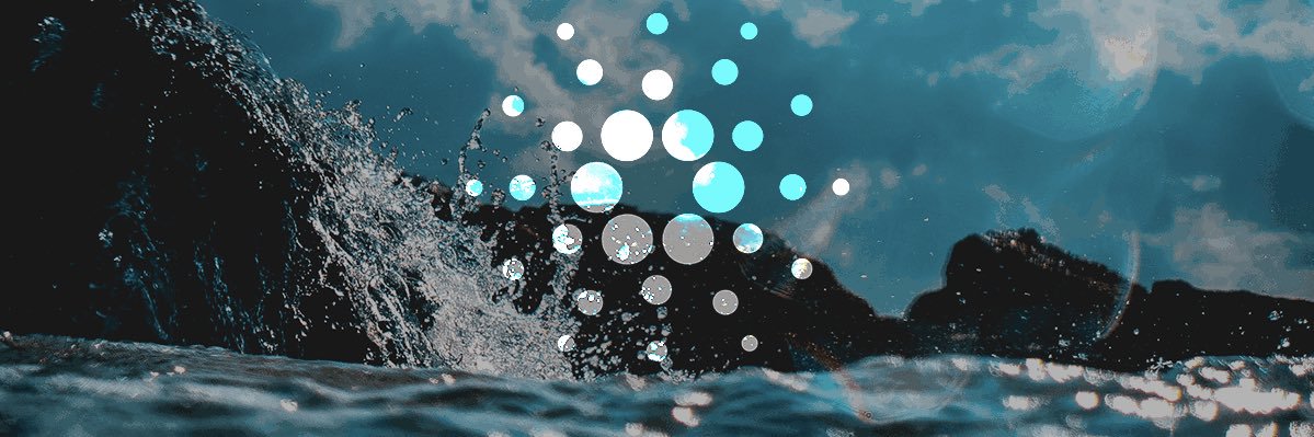 CardanoOcean's profile banner image