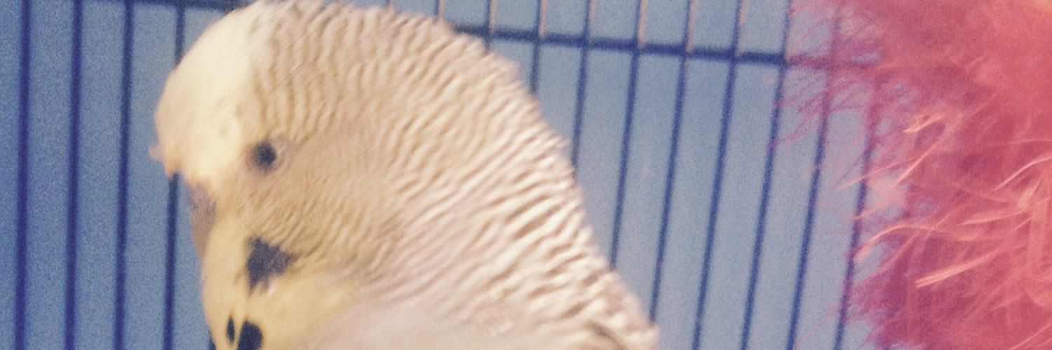 IsaacLamer's profile banner image