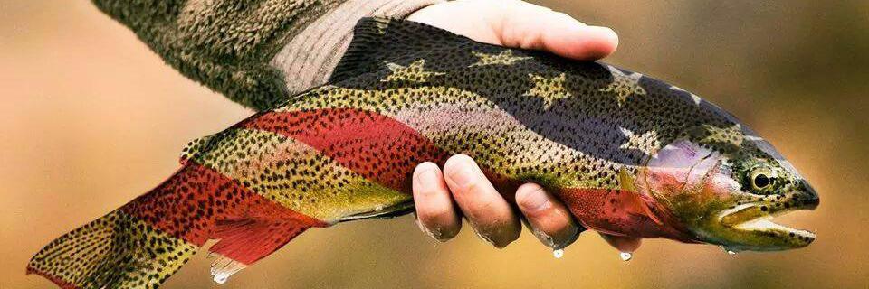FishnAmericaUS's profile banner image