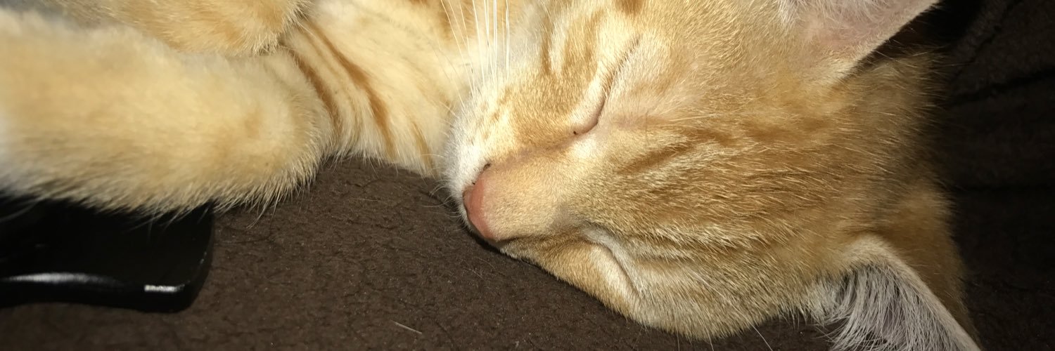 __chefcarter's profile banner image