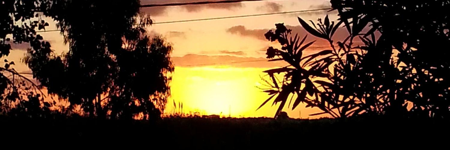 barrittabrava's profile banner image